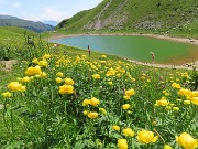 PASSO-LAGO-RIF. BRANCHINO con ANTICIMA sud Corno Branchino (1917 m)-23giu25- FOTOGALLERY